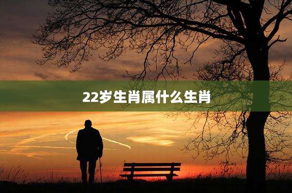 22岁生肖属什么生肖