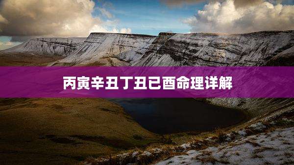 丙寅辛丑丁丑已酉命理详解
