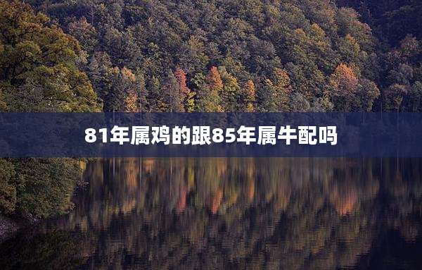 81年属鸡的跟85年属牛配吗