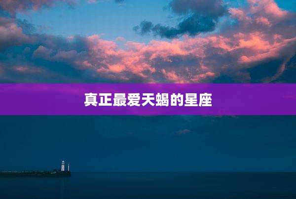 真正最爱天蝎的星座