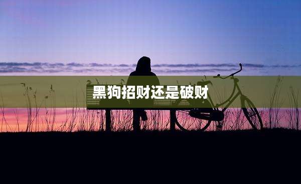 黑狗招财还是破财