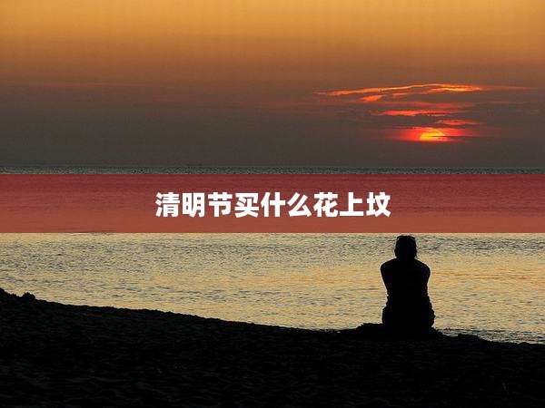 清明节买什么花上坟