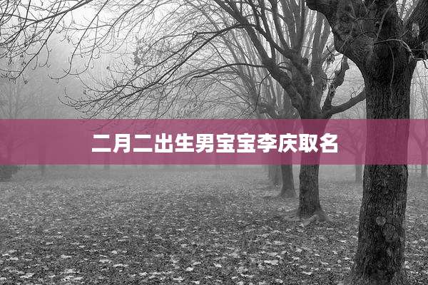 二月二出生男宝宝李庆取名