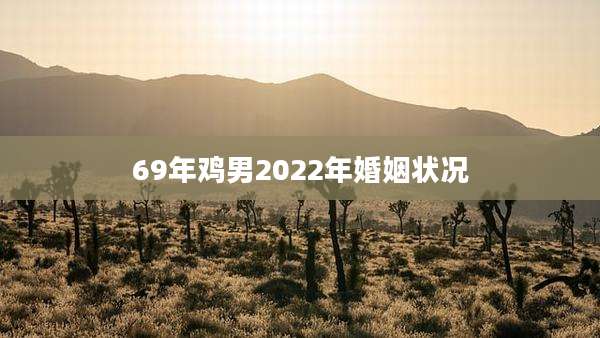 69年鸡男2022年婚姻状况
