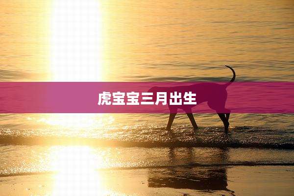 虎宝宝三月出生