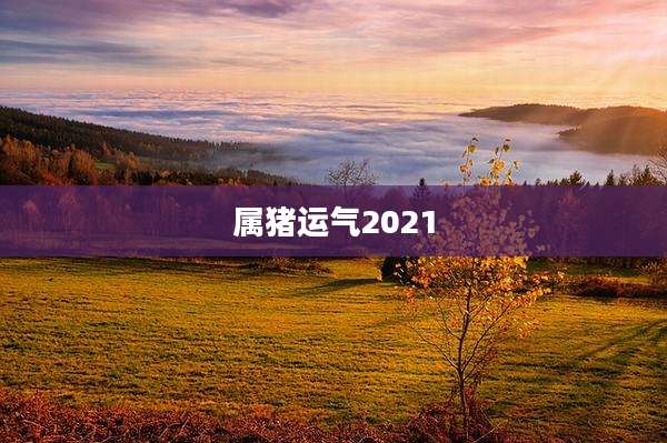 属猪运气2021