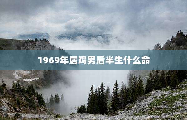 1969年属鸡男后半生什么命