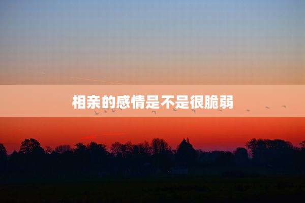 相亲的感情是不是很脆弱