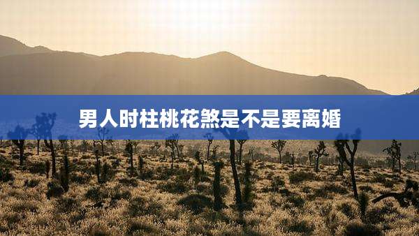 男人时柱桃花煞是不是要离婚