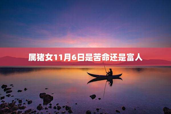 属猪女11月6日是苦命还是富人