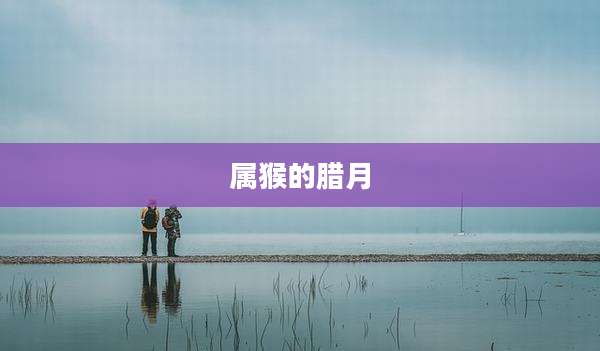属猴的腊月