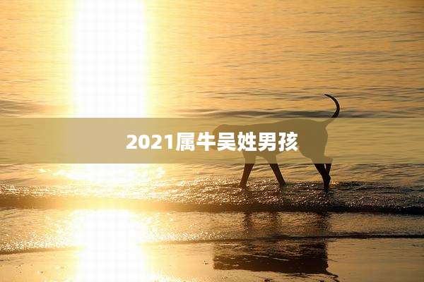 2021属牛吴姓男孩