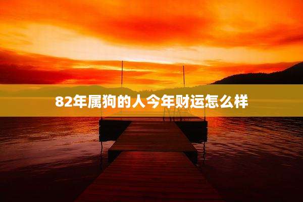 82年属狗的人今年财运怎么样