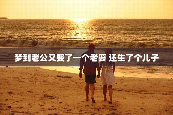 梦到老公又娶了一个老婆 还生了个儿子