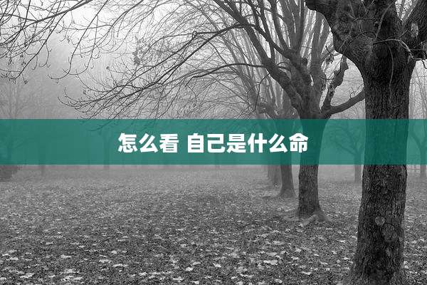 怎么看 自己是什么命