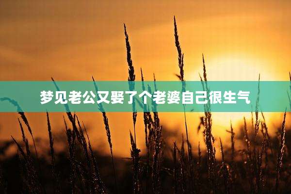梦见老公又娶了个老婆自己很生气