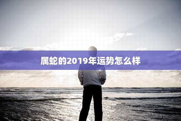 属蛇的2019年运势怎么样