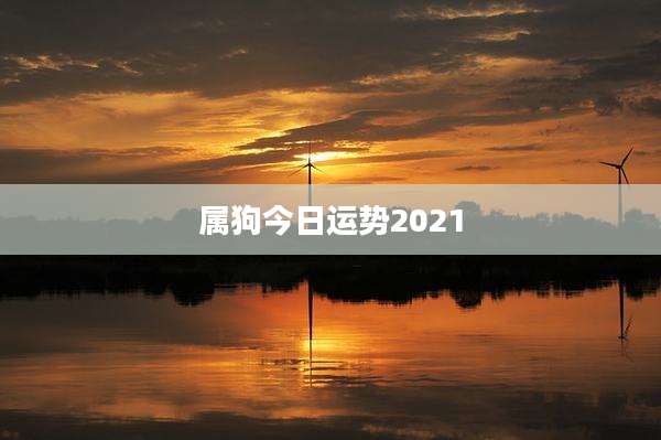 属狗今日运势2021