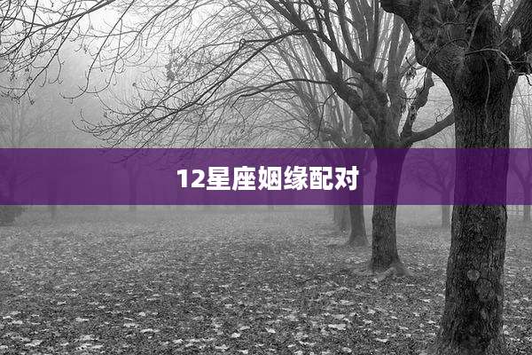 12星座姻缘配对