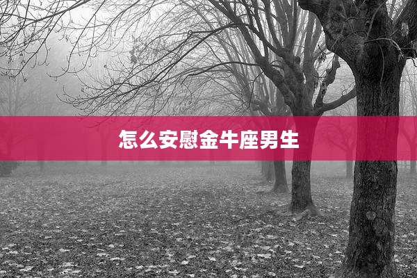 怎么安慰金牛座男生