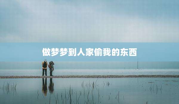 做梦梦到人家偷我的东西