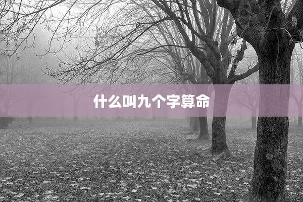 什么叫九个字算命