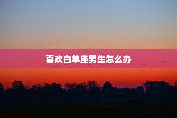 喜欢白羊座男生怎么办