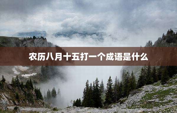 农历八月十五打一个成语是什么