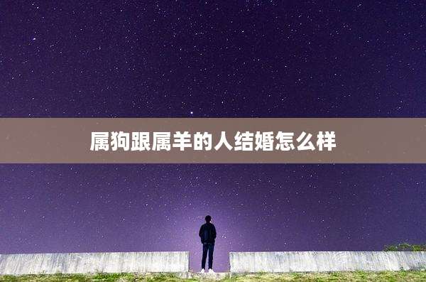 属狗跟属羊的人结婚怎么样