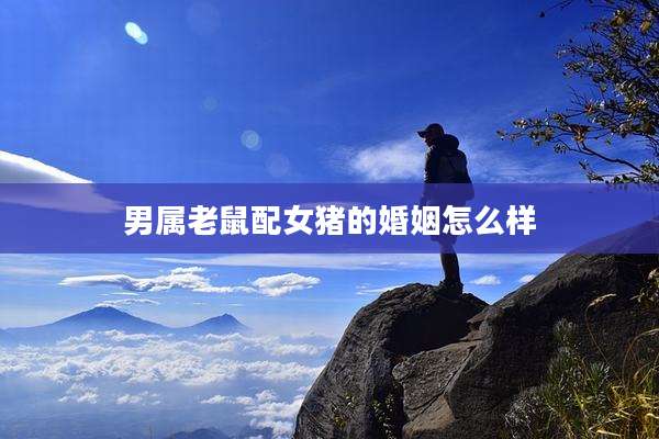 男属老鼠配女猪的婚姻怎么样
