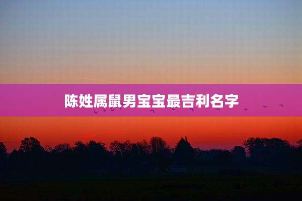 陈姓属鼠男宝宝最吉利名字