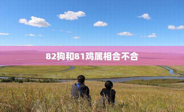 82狗和81鸡属相合不合