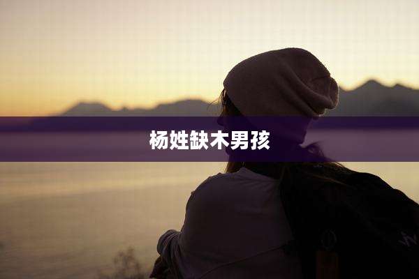 杨姓缺木男孩