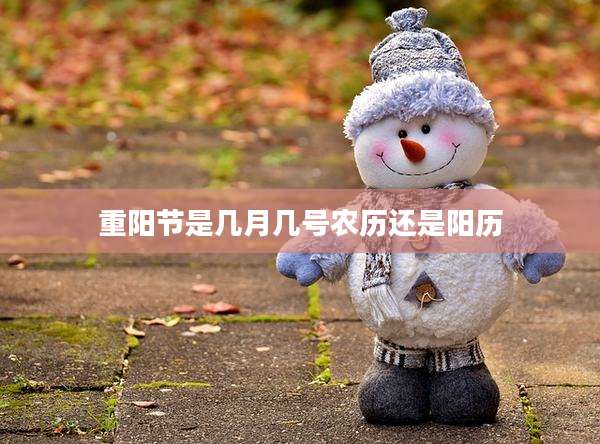 重阳节是几月几号农历还是阳历