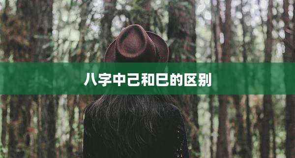 八字中己和巳的区别