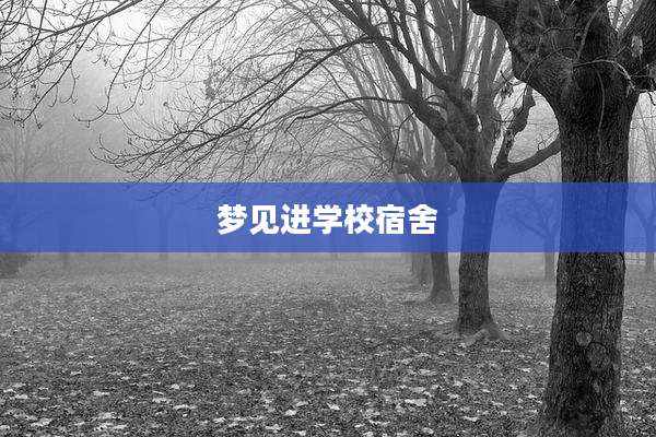 梦见进学校宿舍