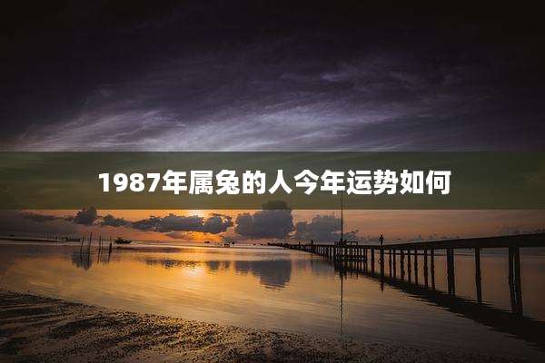 1987年属兔的人今年运势如何