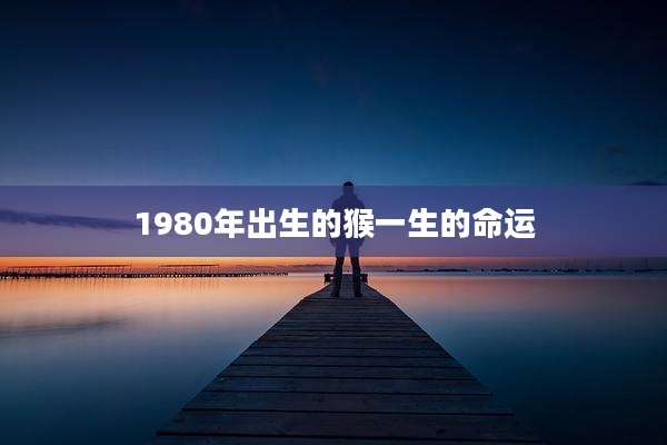1980年出生的猴一生的命运