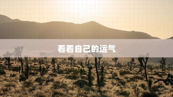 看看自己的运气