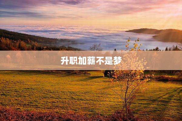 升职加薪不是梦