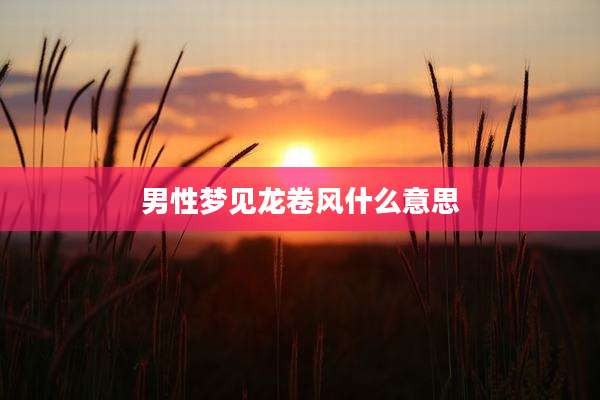 男性梦见龙卷风什么意思