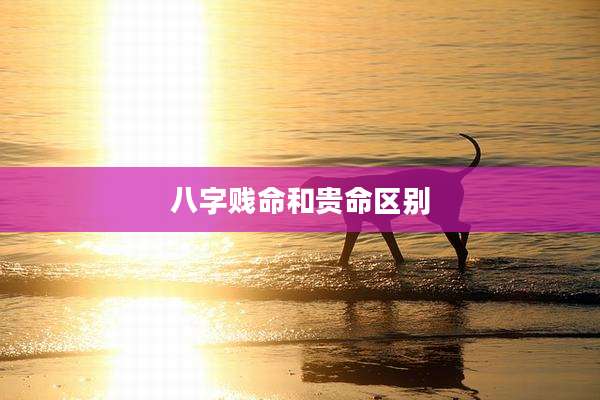 八字贱命和贵命区别
