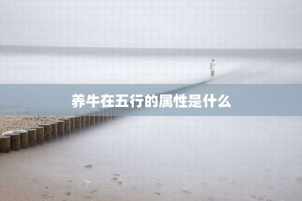 养牛在五行的属性是什么