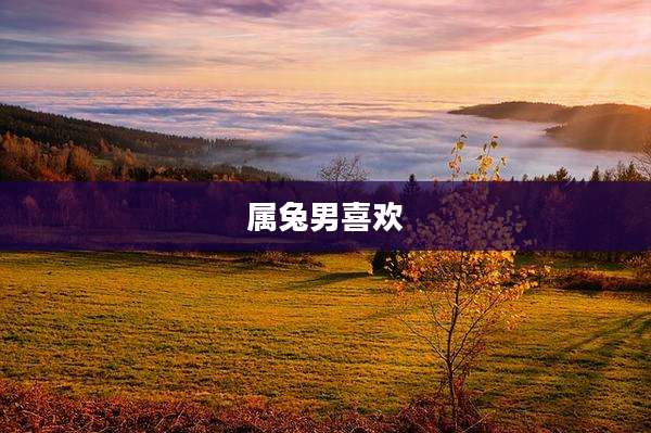 属兔男喜欢