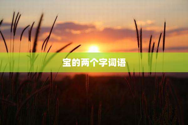 宝的两个字词语