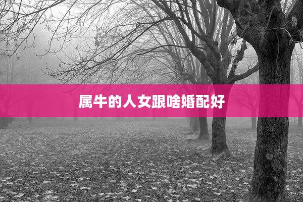 属牛的人女跟啥婚配好