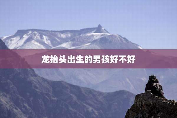 龙抬头出生的男孩好不好