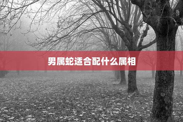 男属蛇适合配什么属相