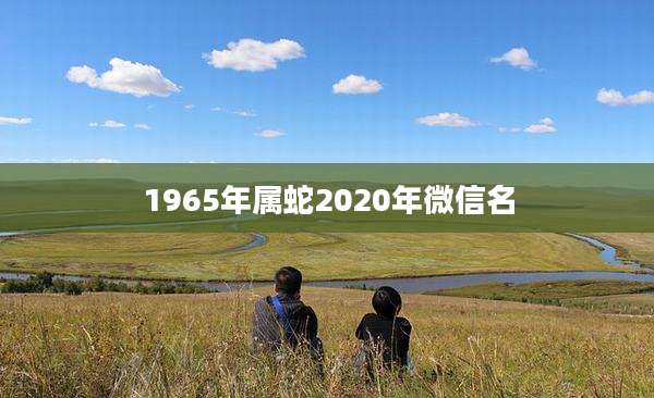 1965年属蛇2020年微信名