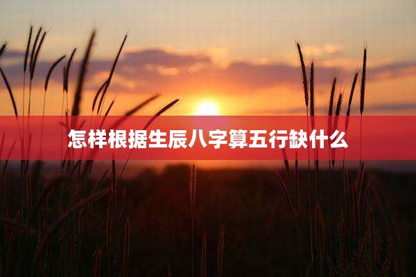 怎样根据生辰八字算五行缺什么